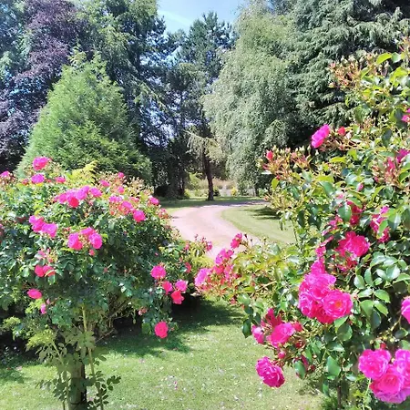 Normandy Vip Holiday home Trevieres